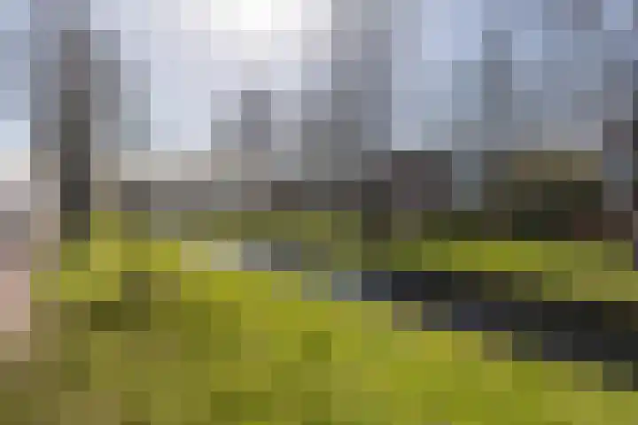 Ewisweg 70 Heiloo thumbnail 15