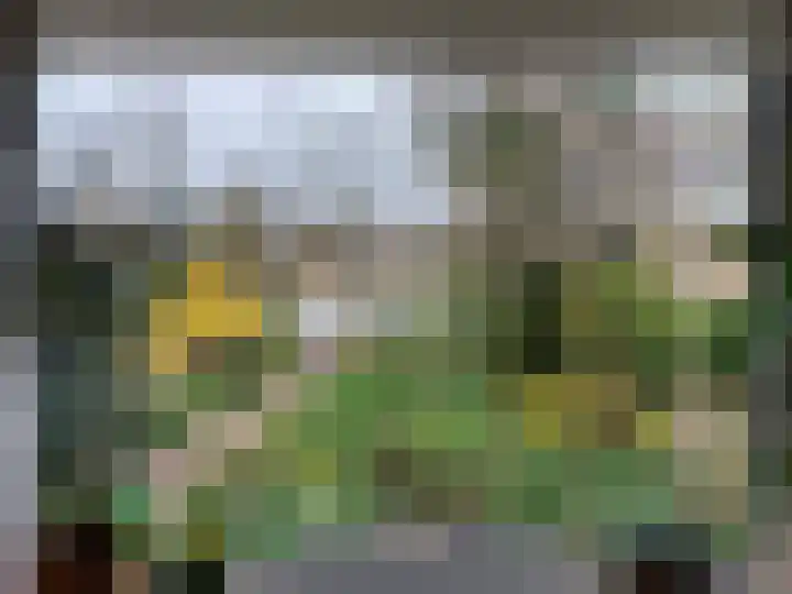 Ewisweg 70 Heiloo thumbnail 18