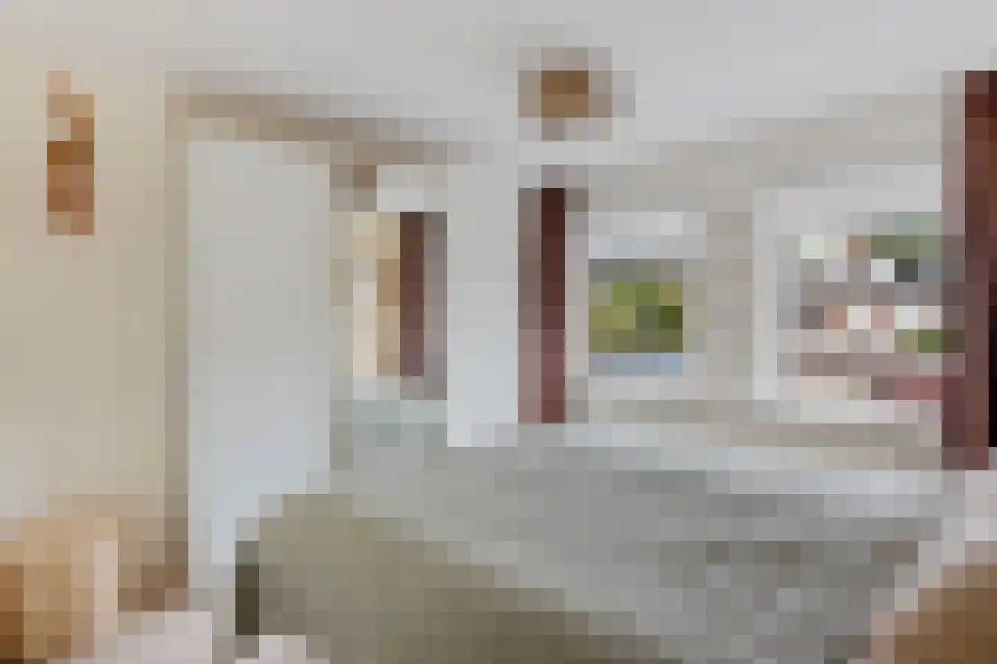 Ewisweg 70 Heiloo thumbnail 20