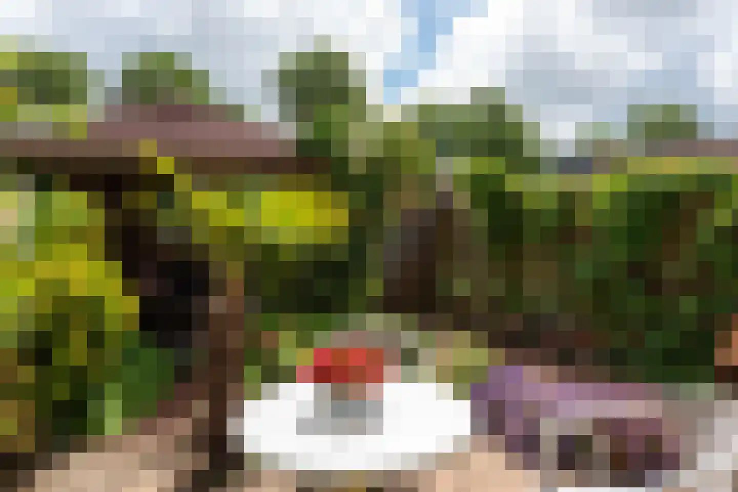Ewisweg 70 Heiloo thumbnail 27