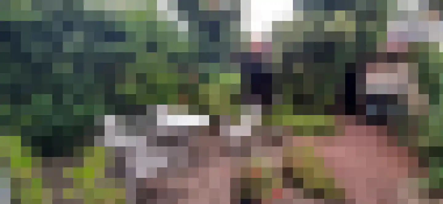 Ewisweg 70 Heiloo thumbnail 32