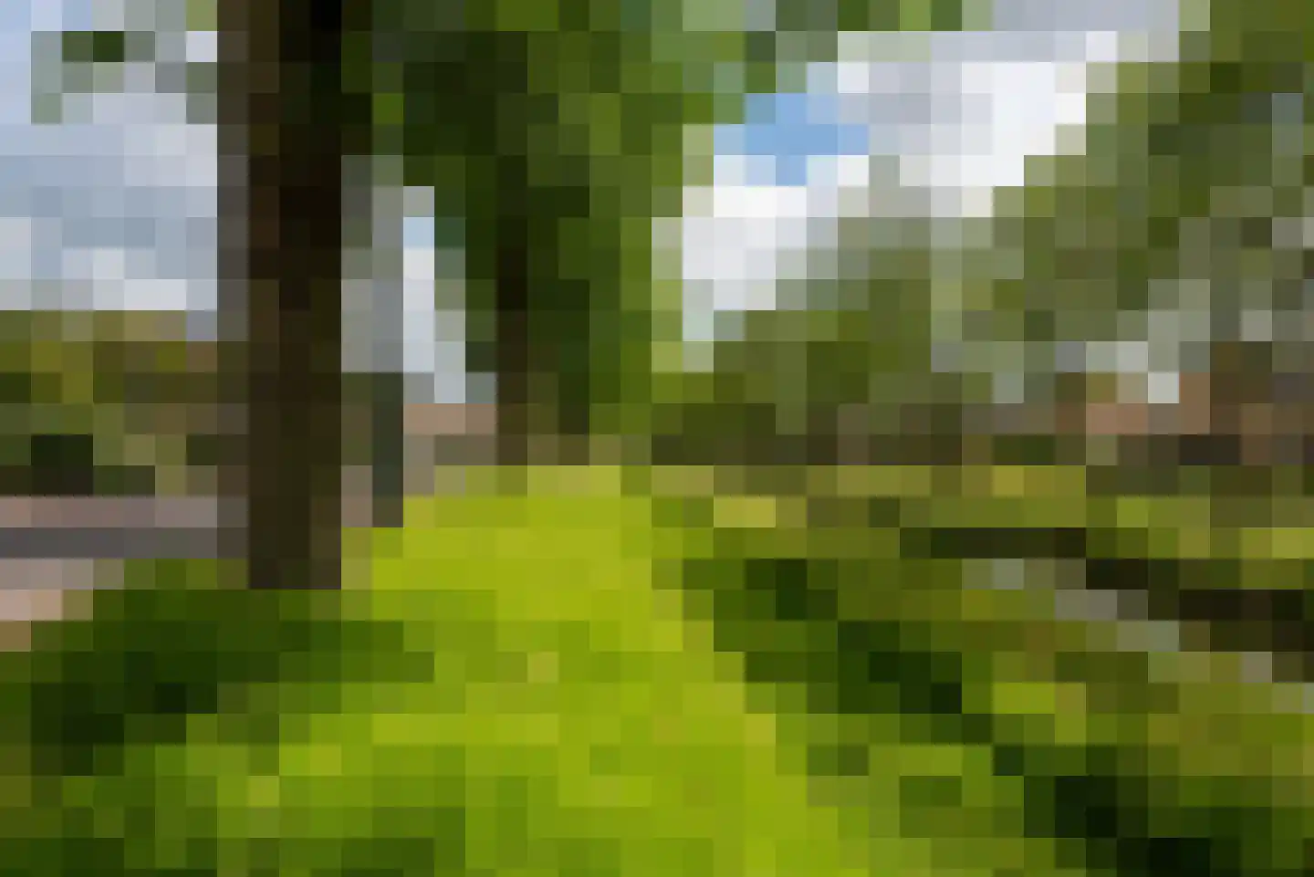 Ewisweg 70 Heiloo thumbnail 34