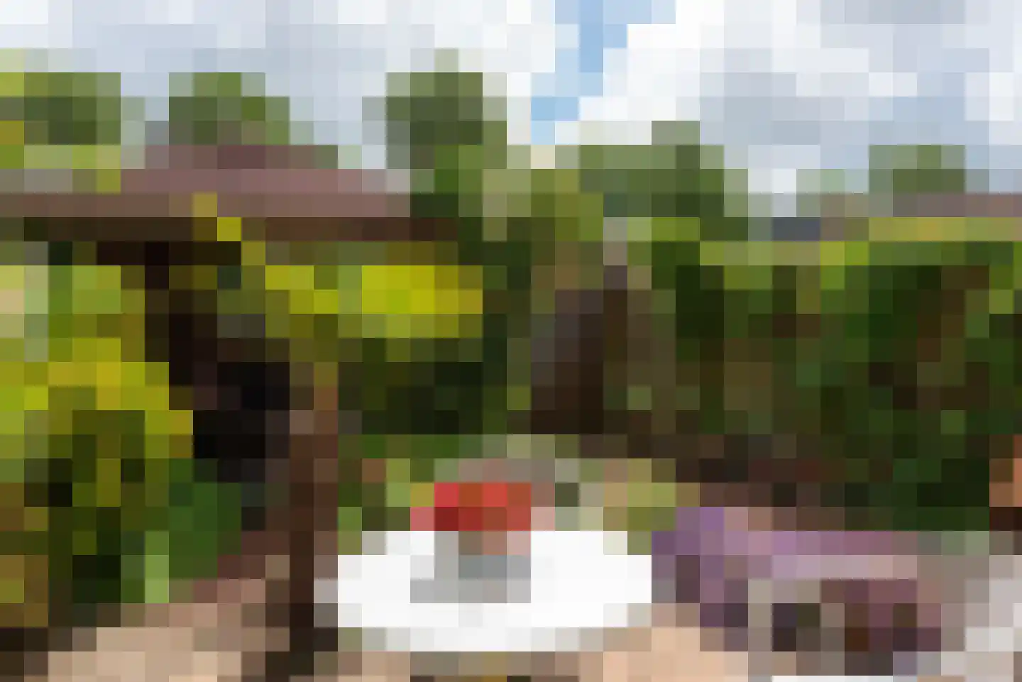 Ewisweg 70 Heiloo thumbnail 35