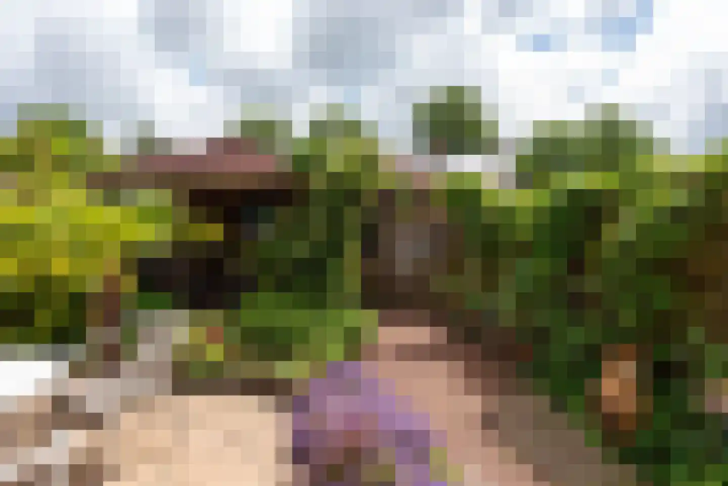 Ewisweg 70 Heiloo thumbnail 37