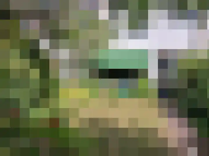 Ewisweg 70 Heiloo thumbnail 38