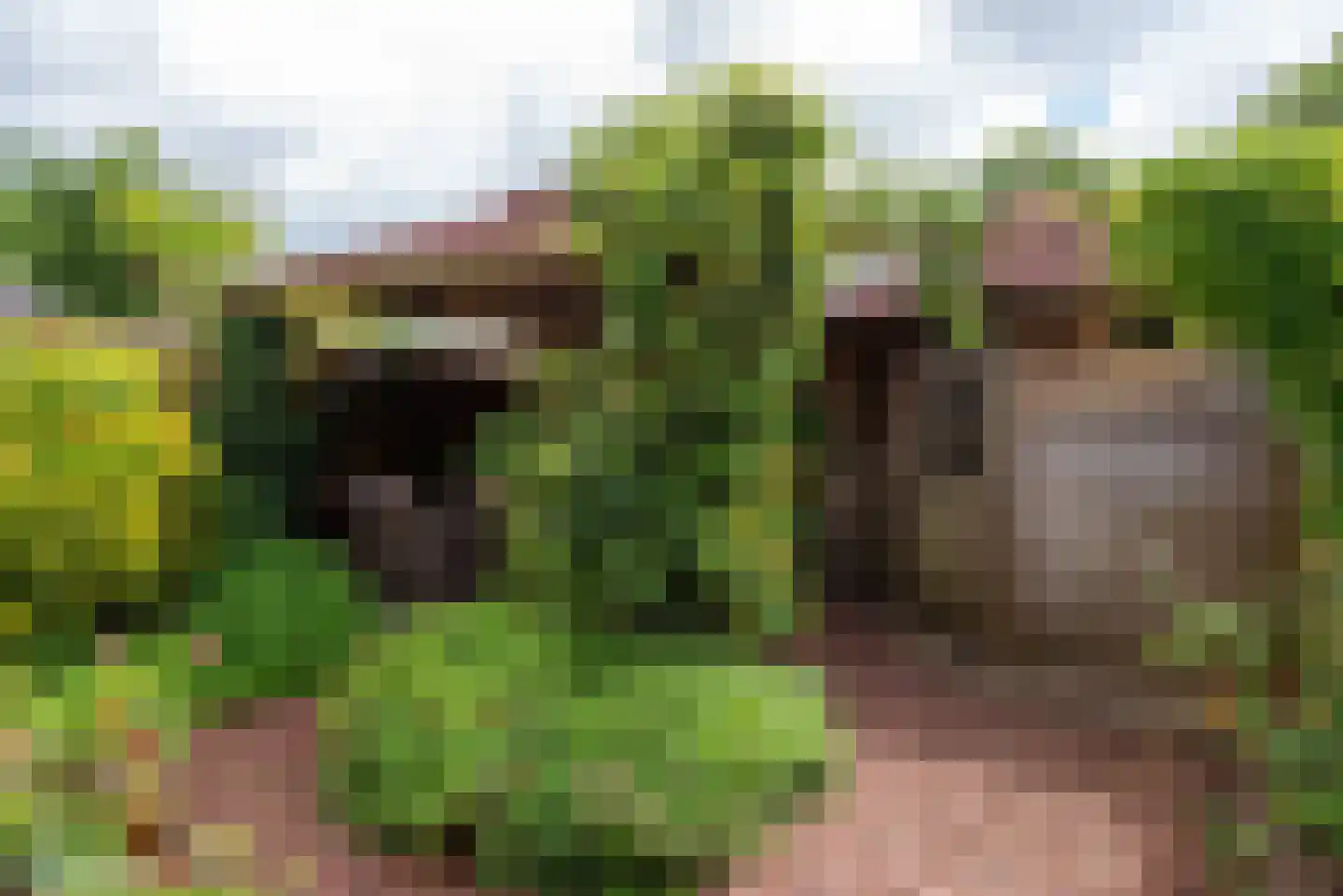 Ewisweg 70 Heiloo thumbnail 38