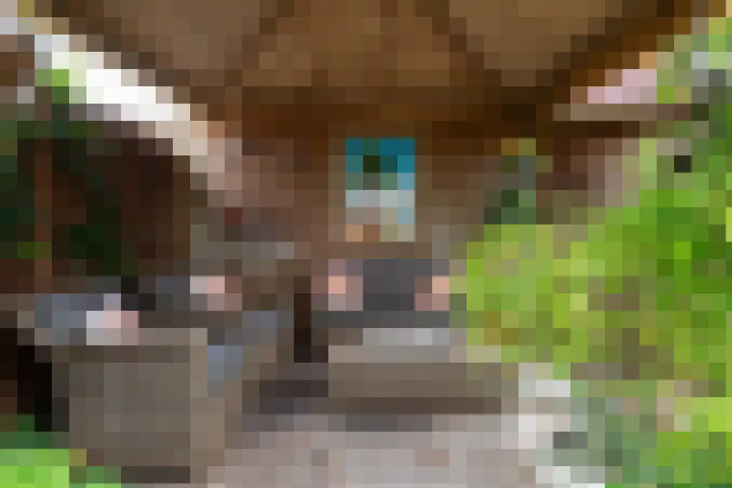 Ewisweg 70 Heiloo thumbnail 39