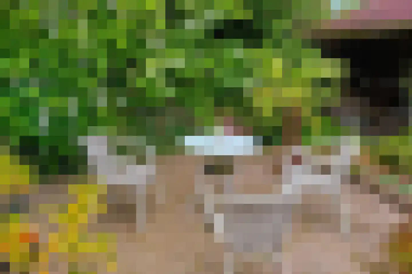 Ewisweg 70 Heiloo thumbnail 4