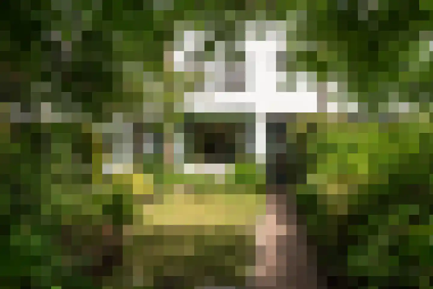 Ewisweg 70 Heiloo thumbnail 42