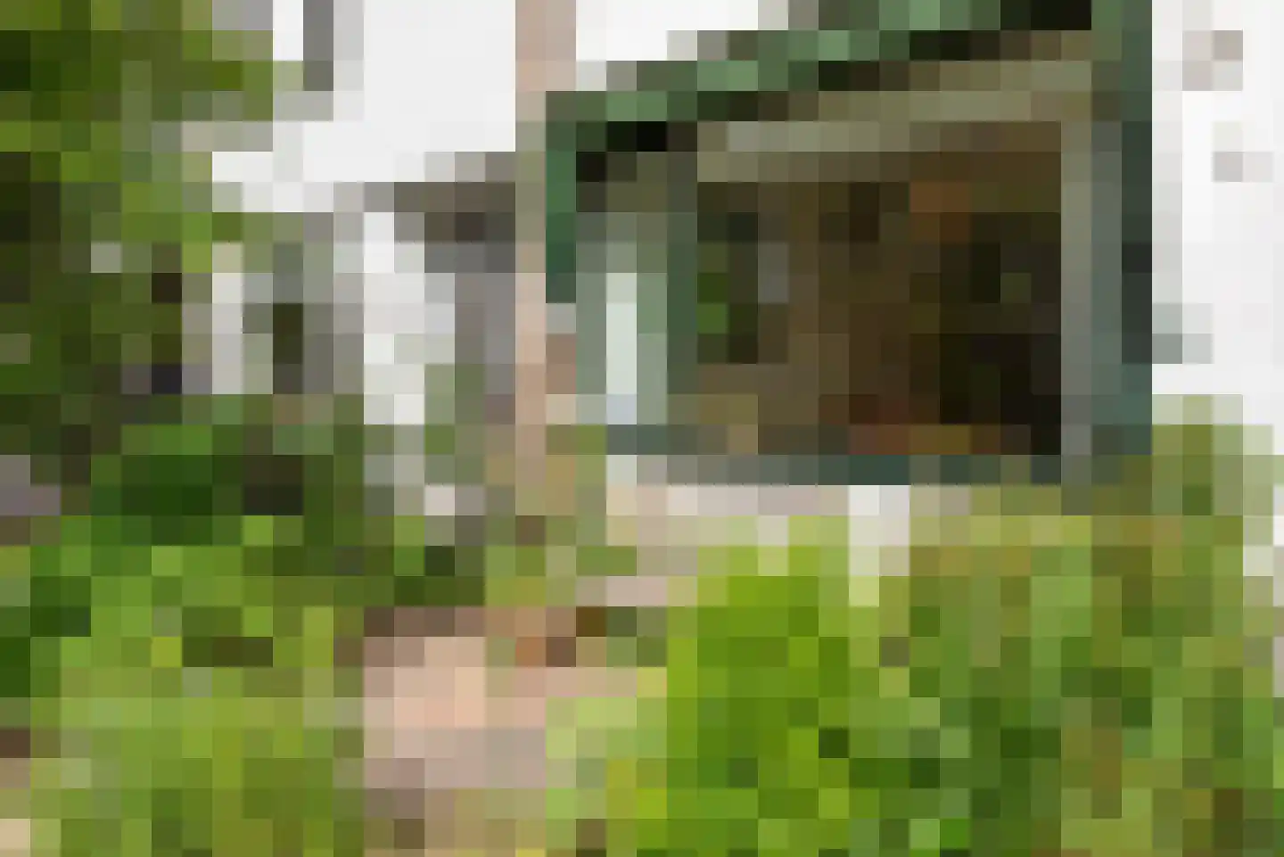 Ewisweg 70 Heiloo thumbnail 43