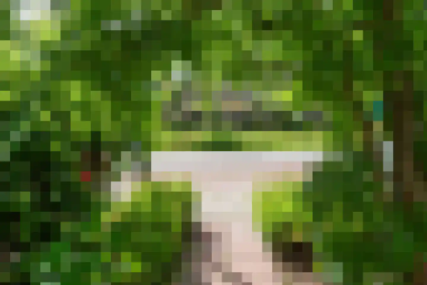 Ewisweg 70 Heiloo thumbnail 44