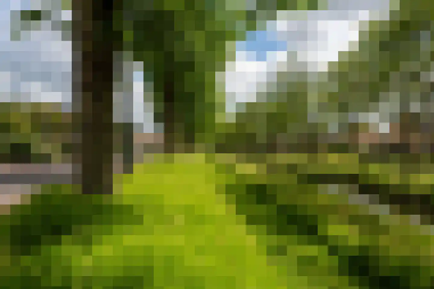 Ewisweg 70 Heiloo thumbnail 47