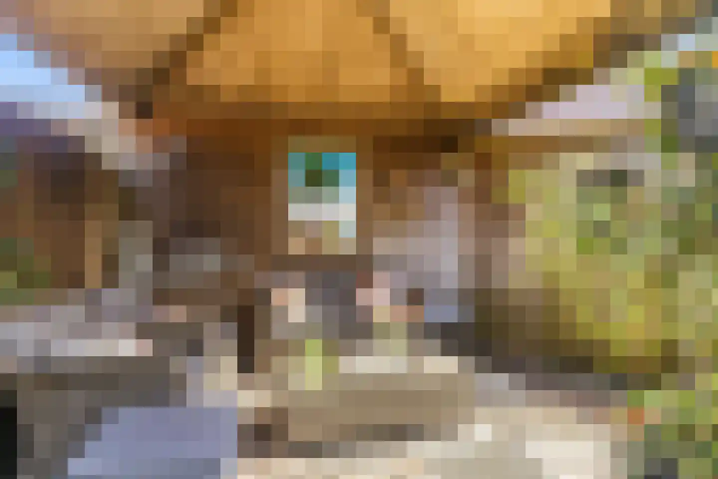 Ewisweg 70 Heiloo thumbnail 5