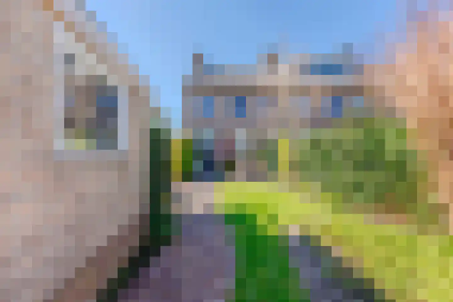 Ewisweg 76 Heiloo thumbnail 23