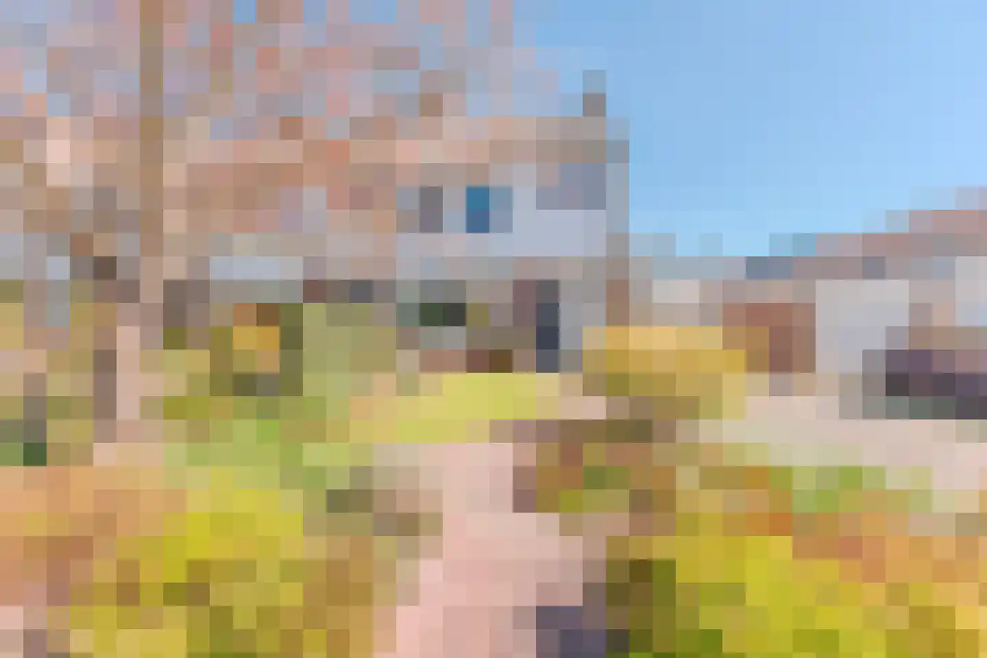 Ewisweg 76 Heiloo thumbnail 28