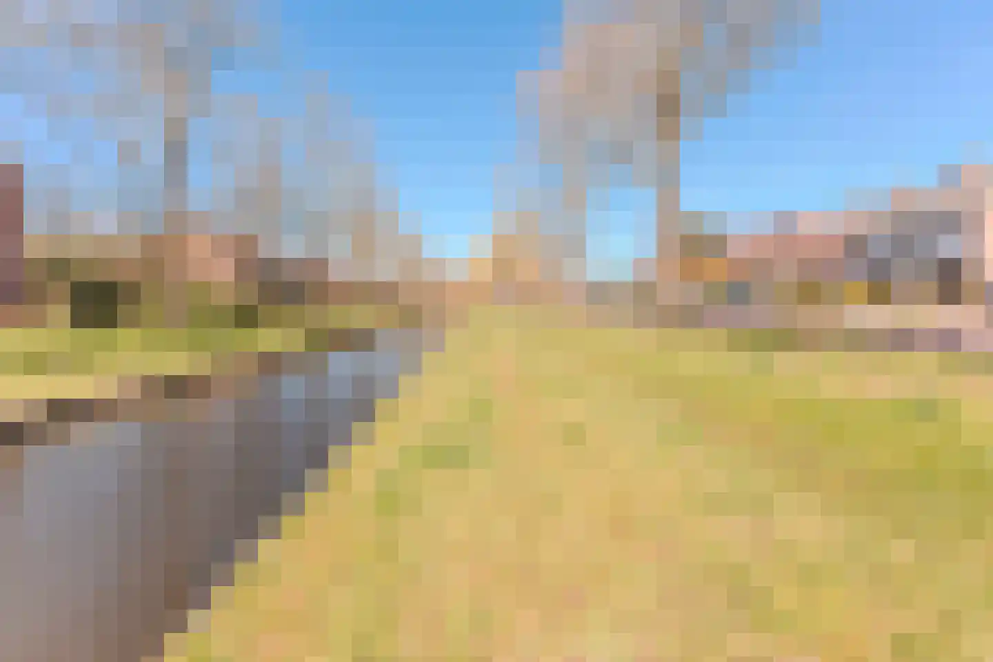 Ewisweg 76 Heiloo thumbnail 29