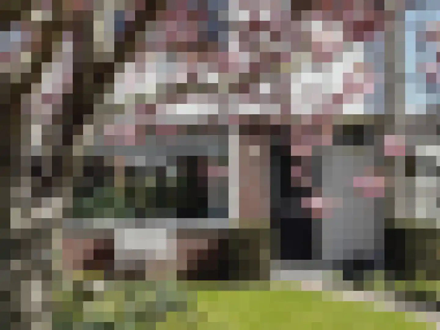 Ewisweg 76 Heiloo thumbnail 36