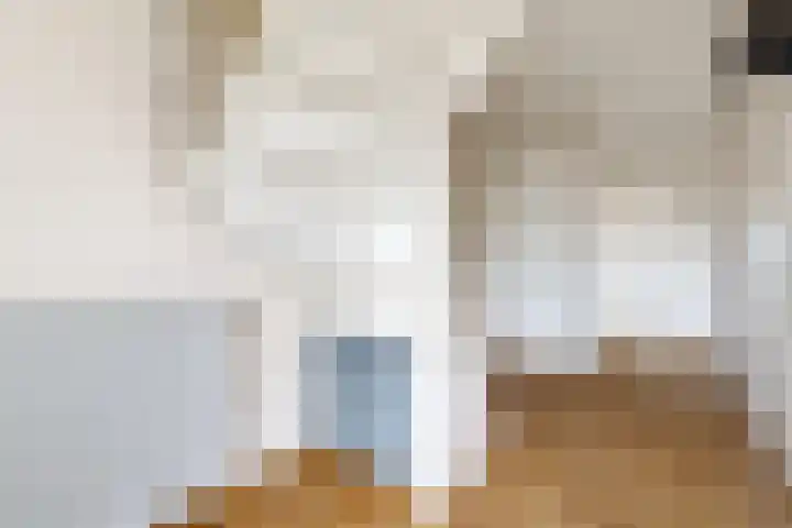 Ewoudsdam 20 Zevenbergschen Hoek thumbnail 10