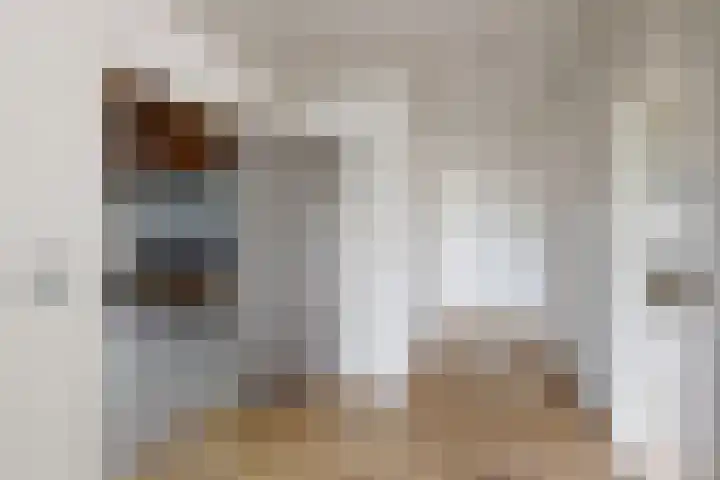 Ewoudsdam 20 Zevenbergschen Hoek thumbnail 11
