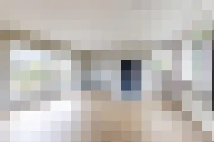 Ewoudsdam 20 Zevenbergschen Hoek thumbnail 17