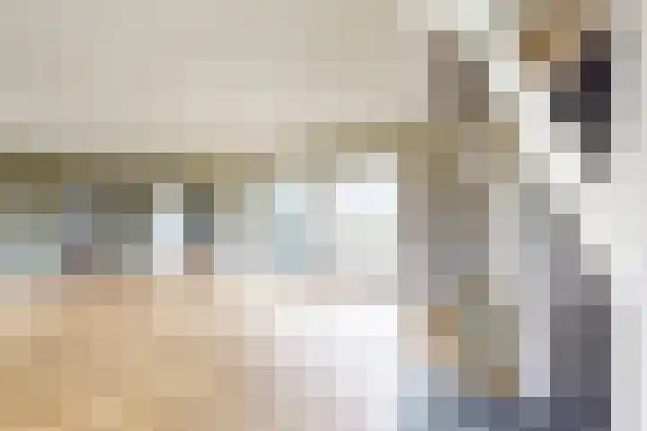 Ewoudsdam 20 Zevenbergschen Hoek thumbnail 19