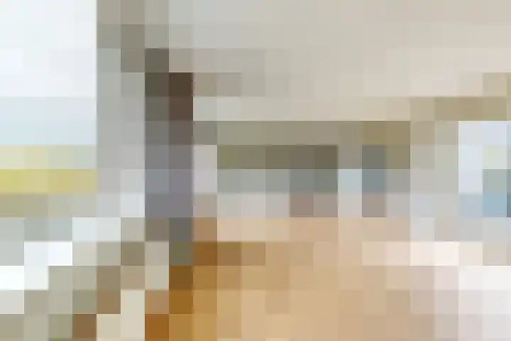 Ewoudsdam 20 Zevenbergschen Hoek thumbnail 20