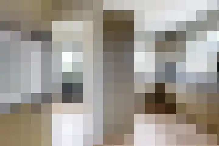 Ewoudsdam 20 Zevenbergschen Hoek thumbnail 23
