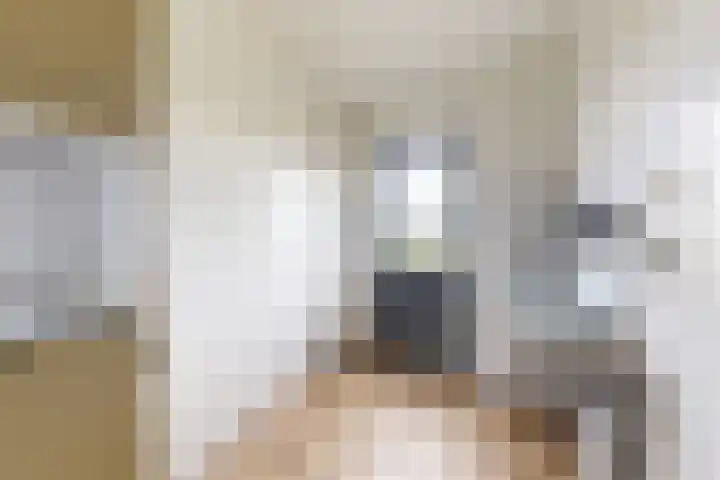 Ewoudsdam 20 Zevenbergschen Hoek thumbnail 28