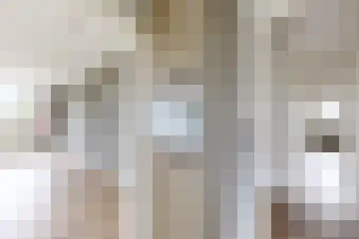 Ewoudsdam 20 Zevenbergschen Hoek thumbnail 29