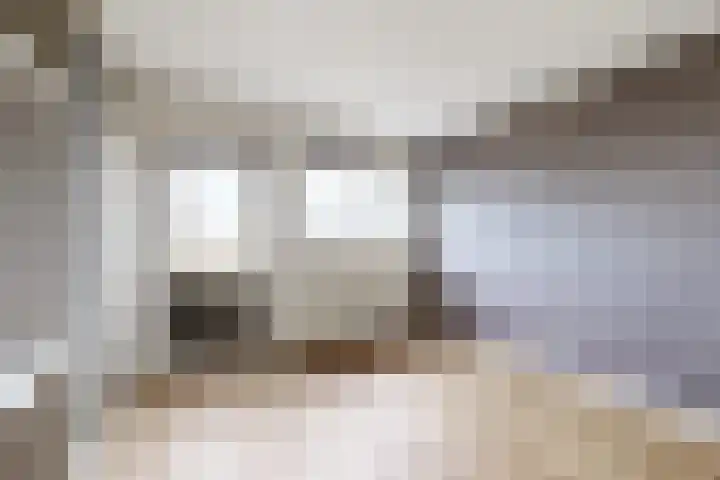 Ewoudsdam 20 Zevenbergschen Hoek thumbnail 30
