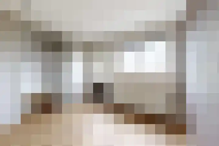 Ewoudsdam 20 Zevenbergschen Hoek thumbnail 31