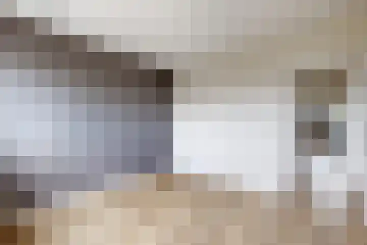 Ewoudsdam 20 Zevenbergschen Hoek thumbnail 32