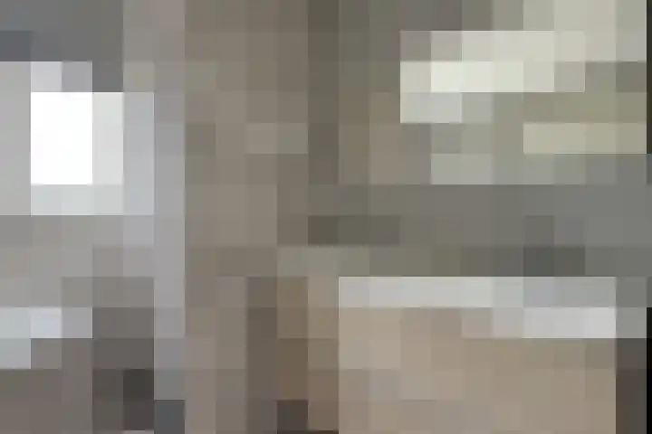 Ewoudsdam 20 Zevenbergschen Hoek thumbnail 34