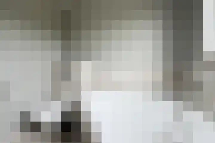 Ewoudsdam 20 Zevenbergschen Hoek thumbnail 36