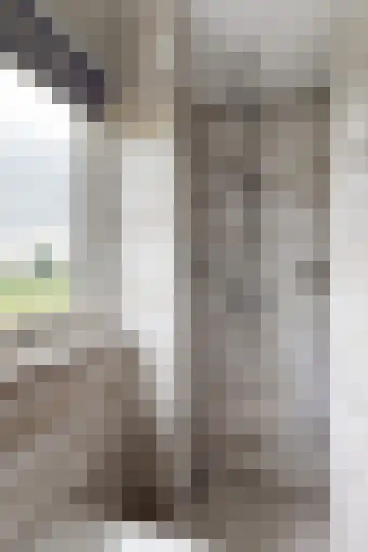 Ewoudsdam 20 Zevenbergschen Hoek thumbnail 37