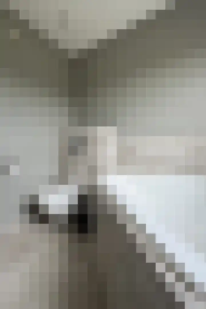Ewoudsdam 20 Zevenbergschen Hoek thumbnail 38