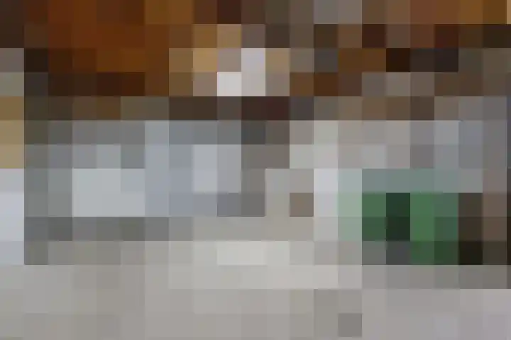 Ewoudsdam 20 Zevenbergschen Hoek thumbnail 40