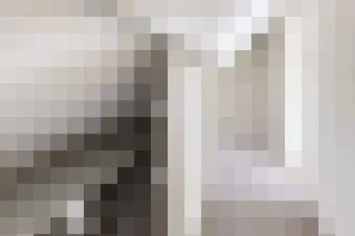 Ewoudsdam 20 Zevenbergschen Hoek thumbnail 42
