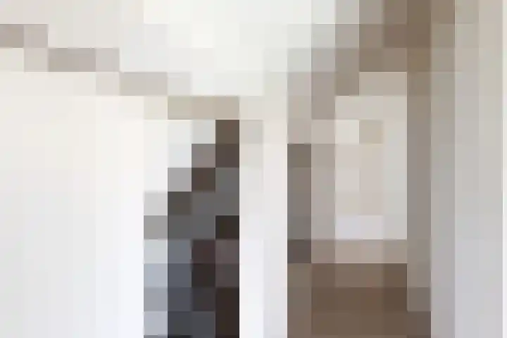 Ewoudsdam 20 Zevenbergschen Hoek thumbnail 43