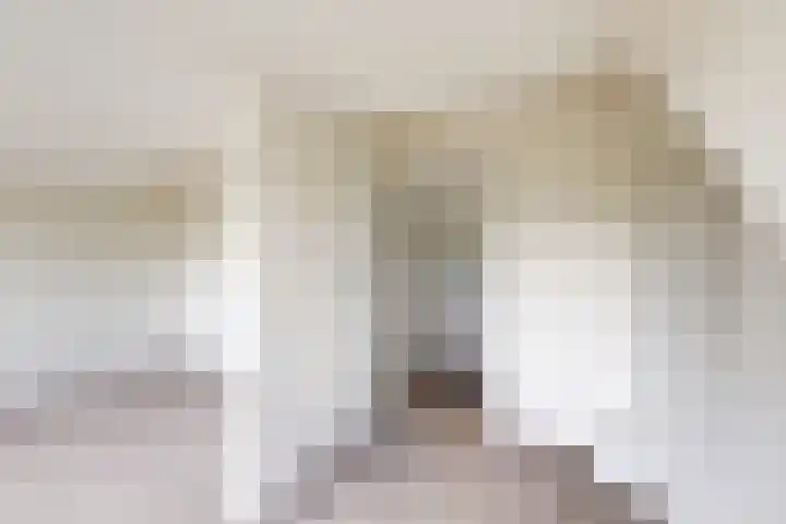 Ewoudsdam 20 Zevenbergschen Hoek thumbnail 45