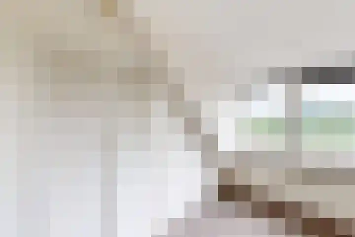 Ewoudsdam 20 Zevenbergschen Hoek thumbnail 49