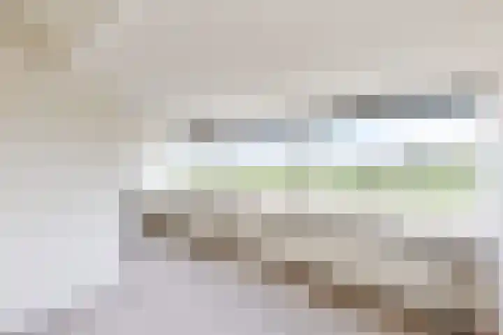 Ewoudsdam 20 Zevenbergschen Hoek thumbnail 5