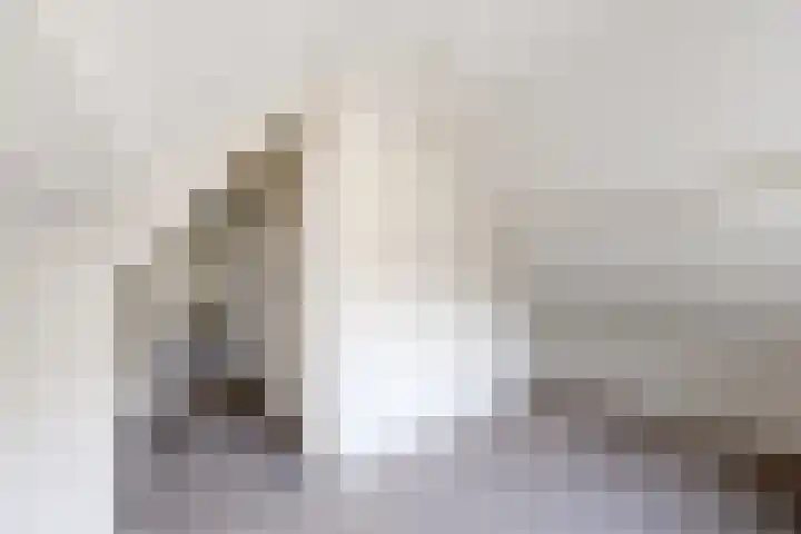 Ewoudsdam 20 Zevenbergschen Hoek thumbnail 53