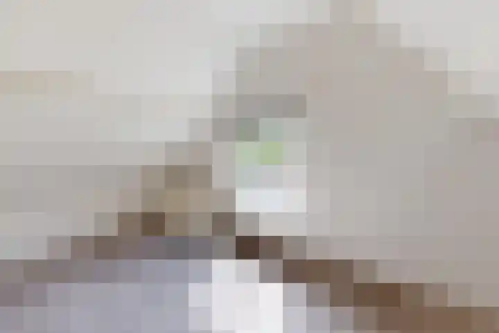 Ewoudsdam 20 Zevenbergschen Hoek thumbnail 54