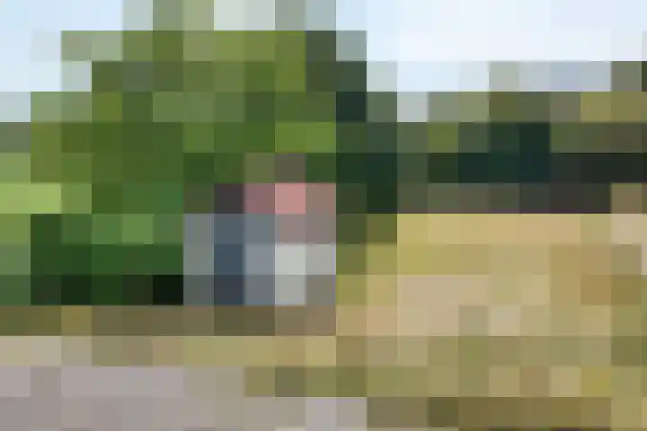 Ewoudsdam 20 Zevenbergschen Hoek thumbnail 57