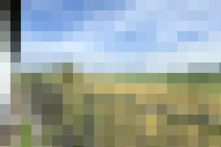 Ewoudsdam 20 Zevenbergschen Hoek thumbnail 58