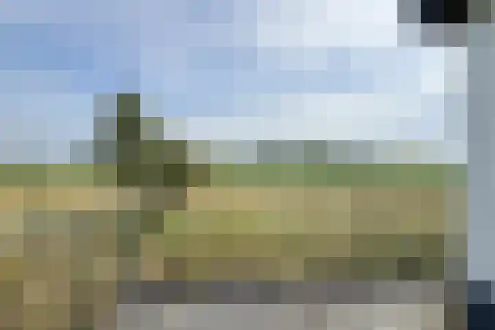 Ewoudsdam 20 Zevenbergschen Hoek thumbnail 59