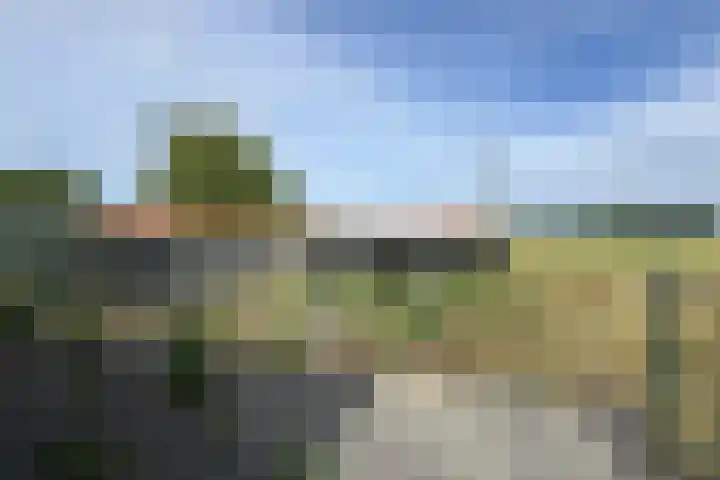 Ewoudsdam 20 Zevenbergschen Hoek thumbnail 60