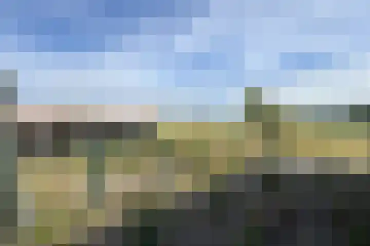 Ewoudsdam 20 Zevenbergschen Hoek thumbnail 61