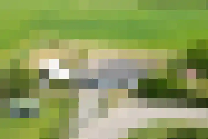 Ewoudsdam 20 Zevenbergschen Hoek thumbnail 69